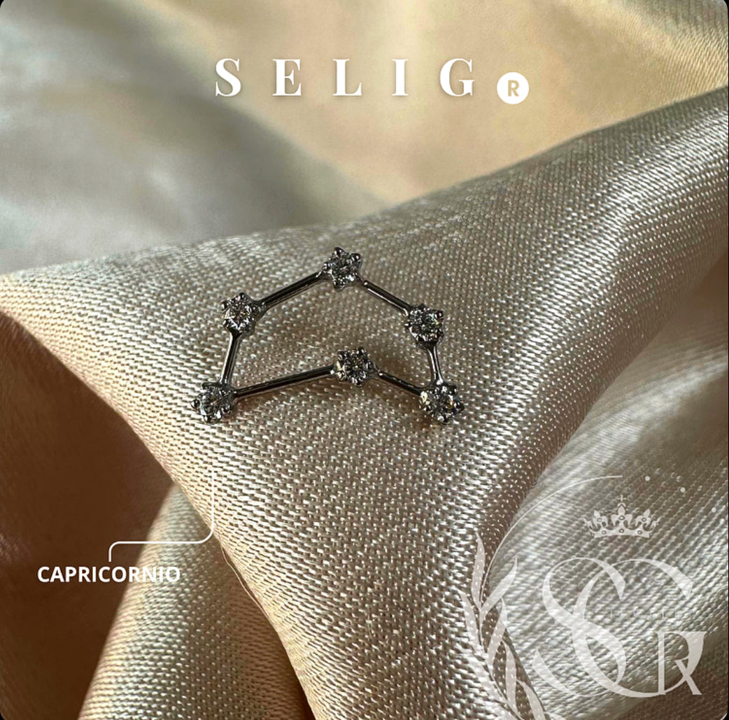 Constelación “Capricornio”