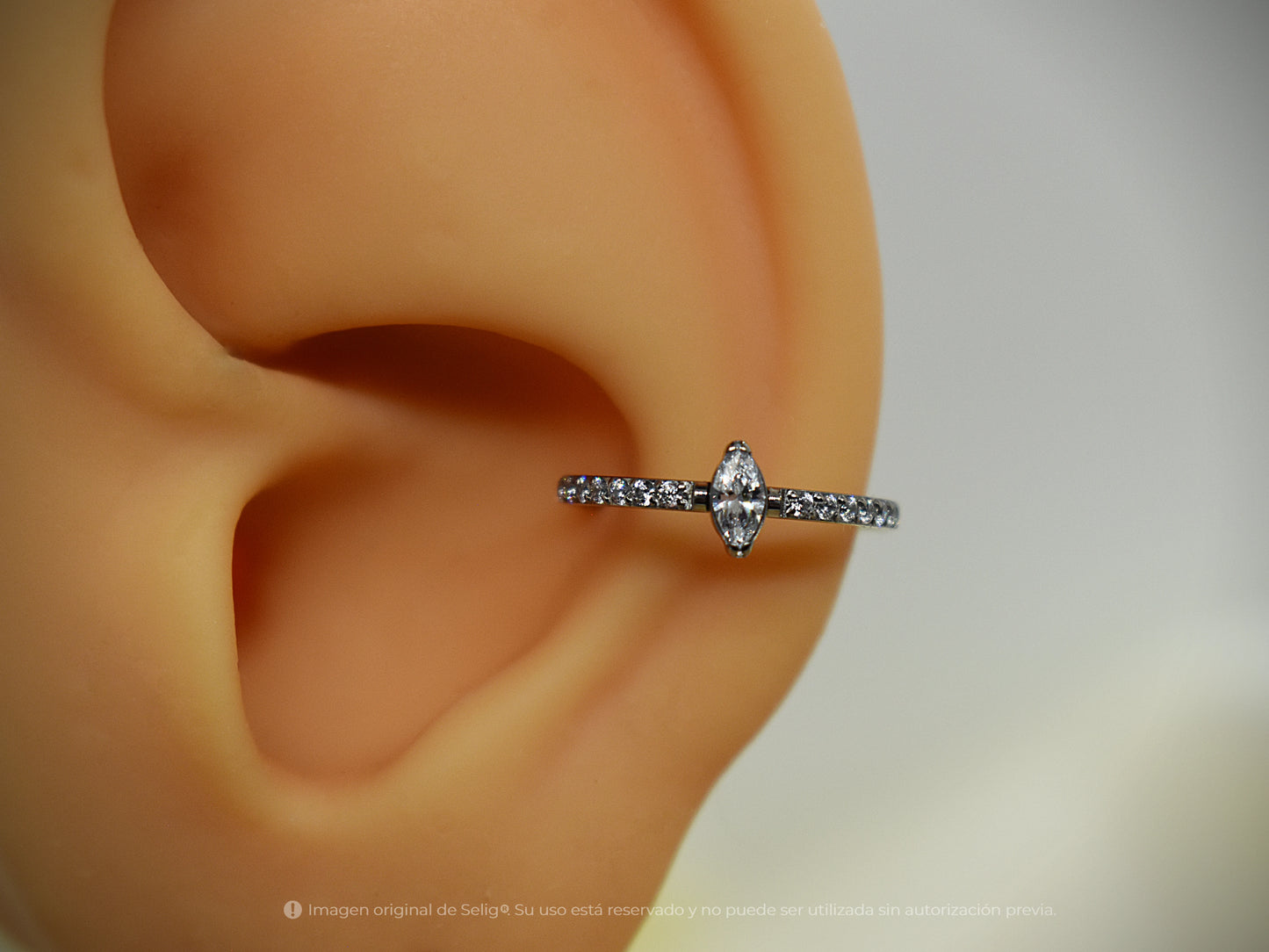 Argolla Only - Conch/Helix