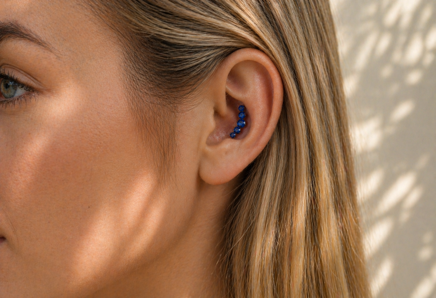 Conch-Recto Collection