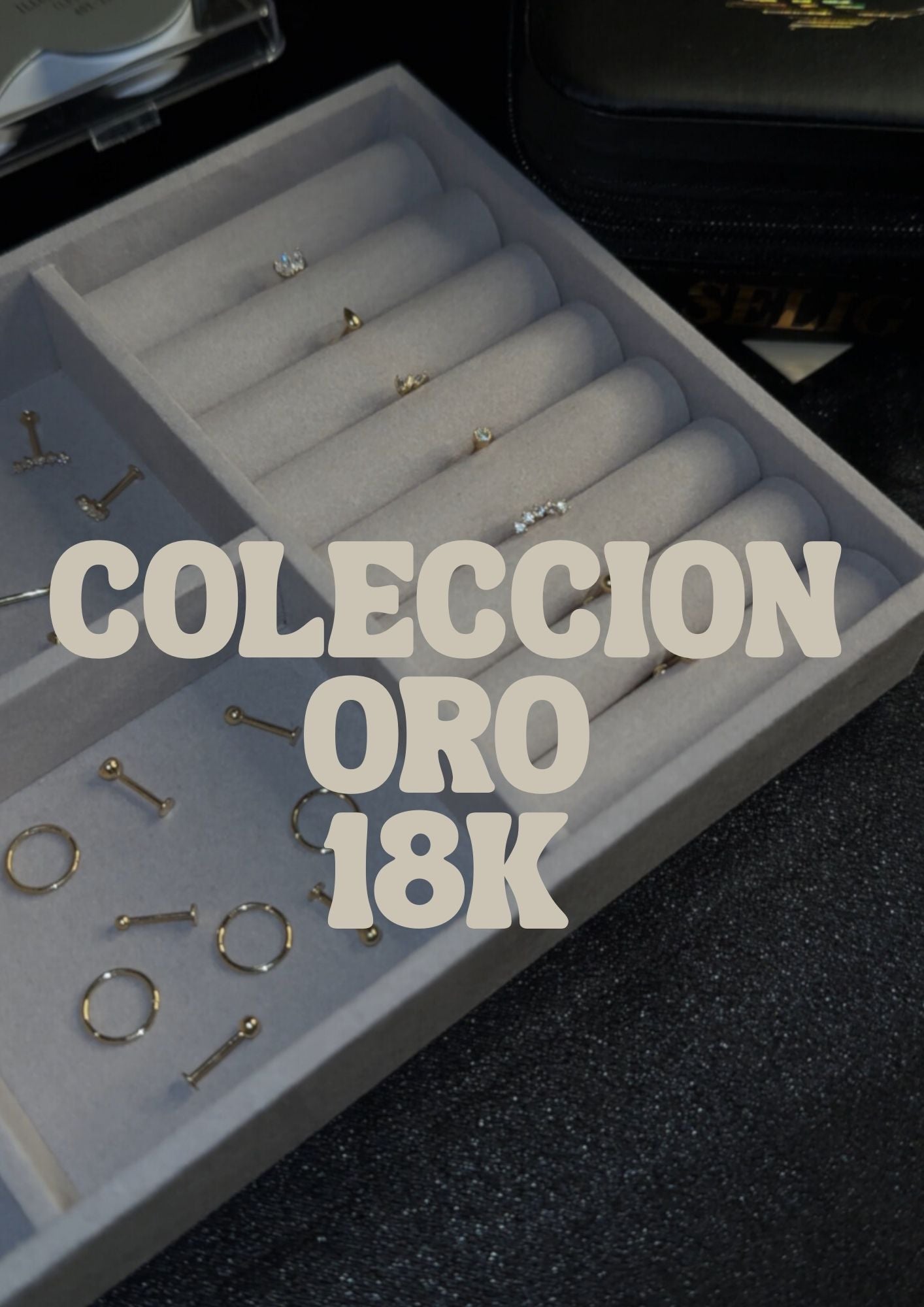 COLECCIÓN ORO 18k