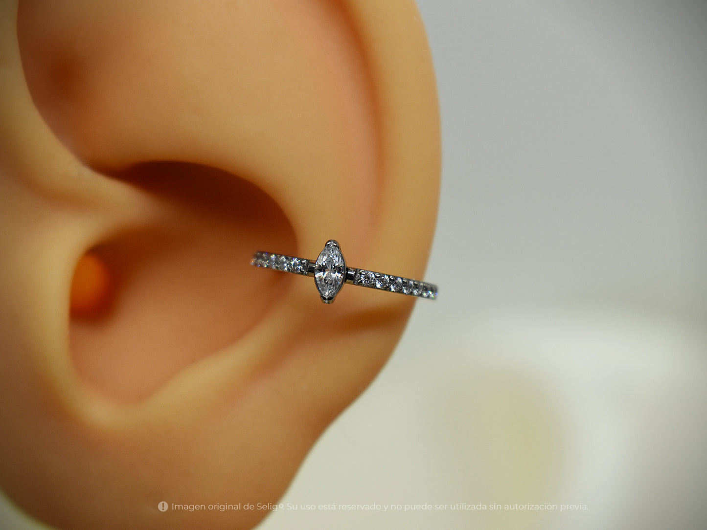 Argolla Only - Conch/Helix