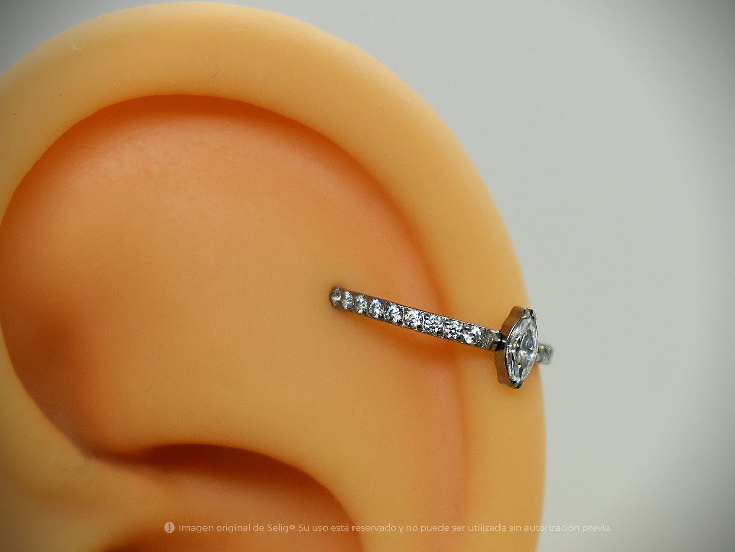 Argolla Only - Conch/Helix