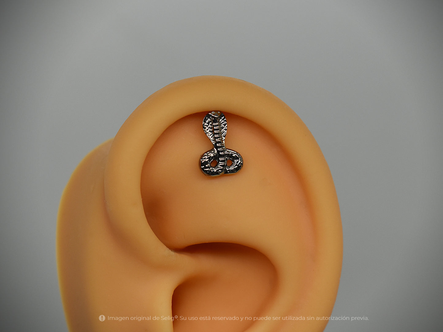 Piercing Cobra - Helix/Flat/Lob