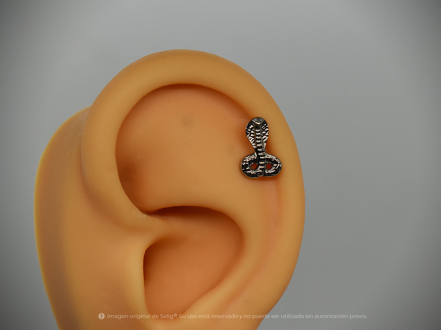 Piercing Cobra - Helix/Flat/Lob