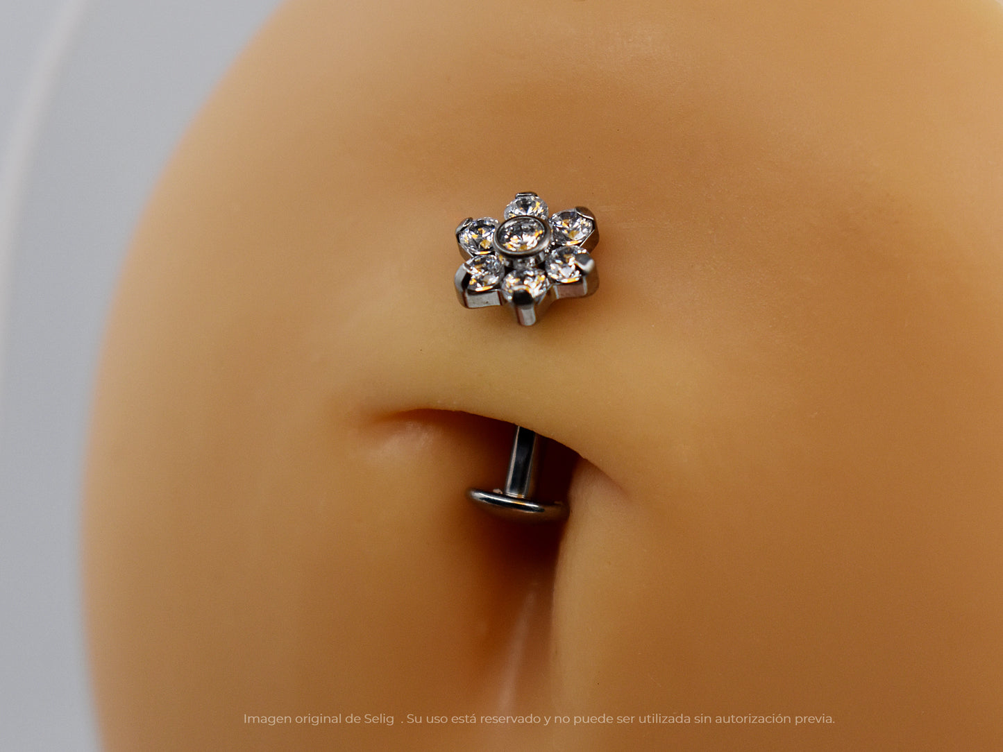 Navel Wolffia