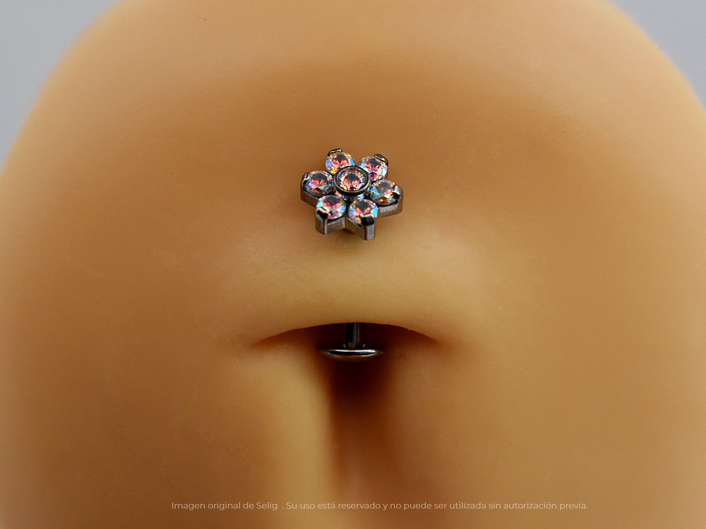 Navel Wolffia II