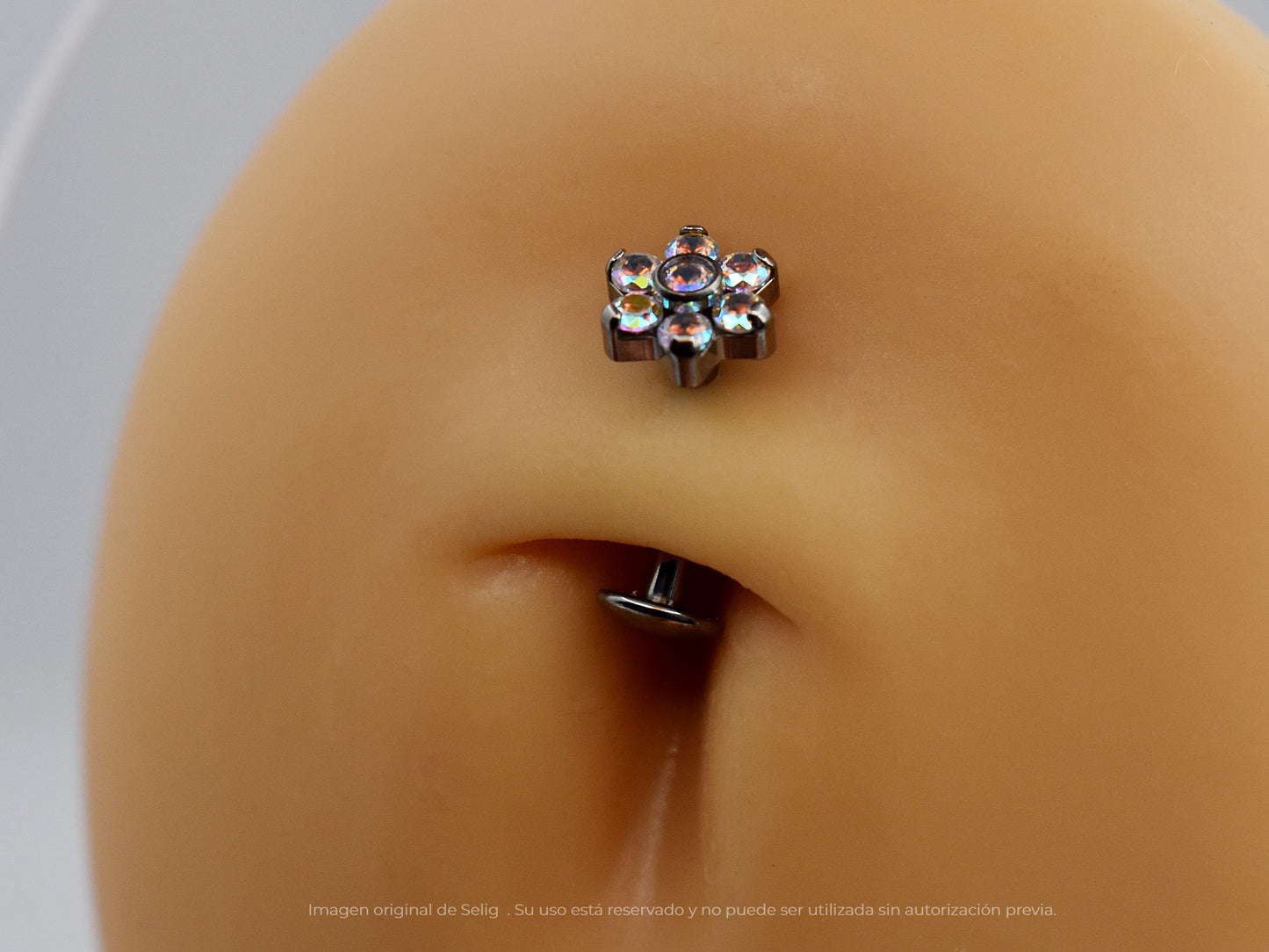 Navel Wolffia II