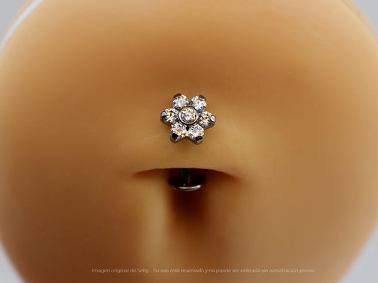 Navel Wolffia