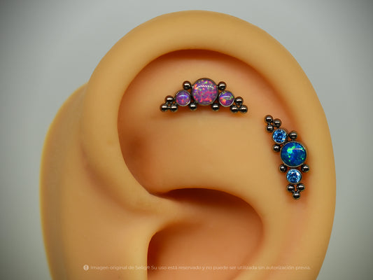 Piercing Ashly - Ear