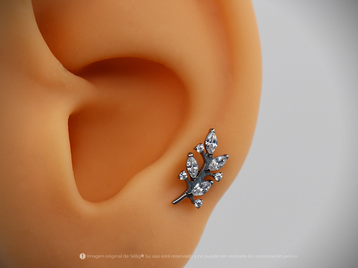 Piercing Bough II - Ear