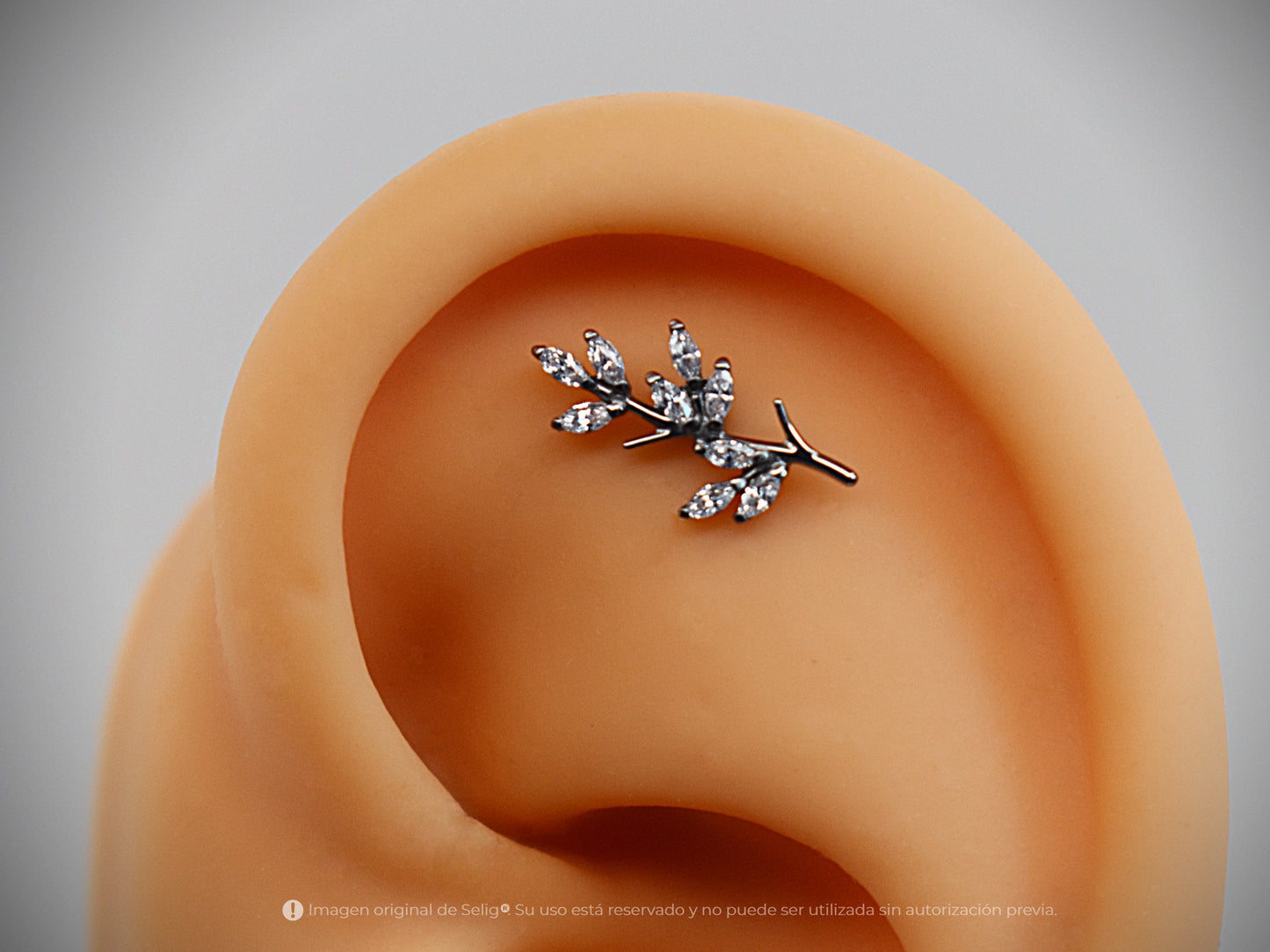Piercing Bough - Ear