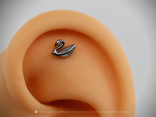 Piercing Cisne - Ear
