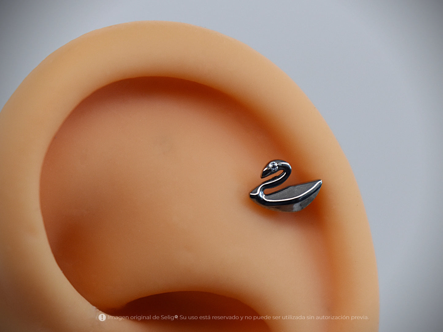 Piercing Cisne - Ear