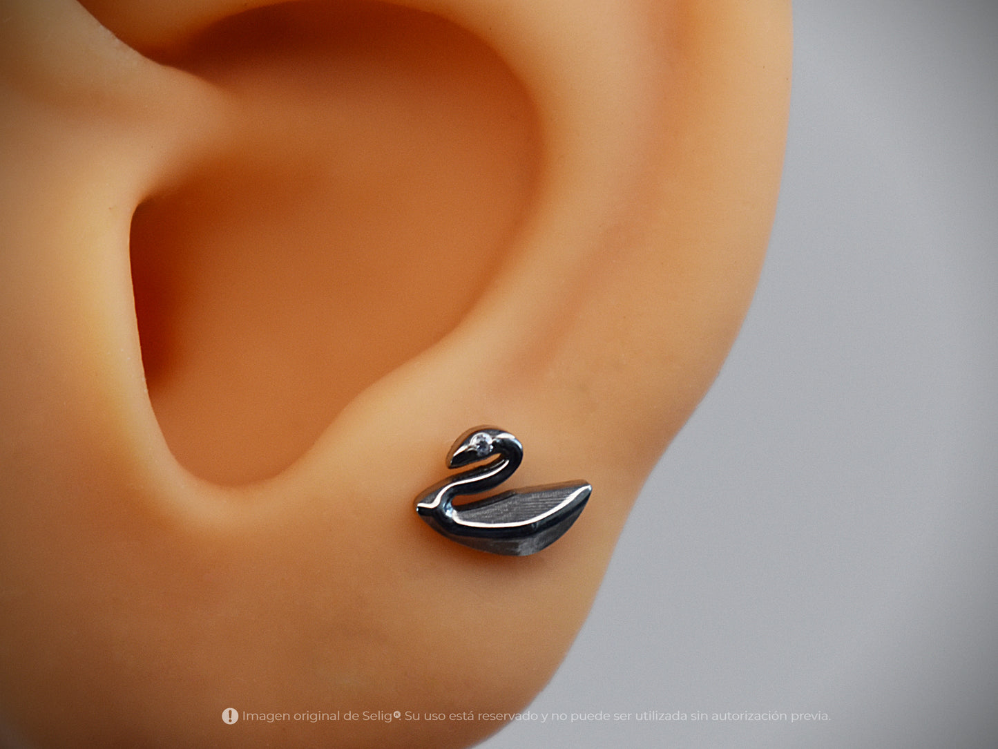 Piercing Cisne - Ear