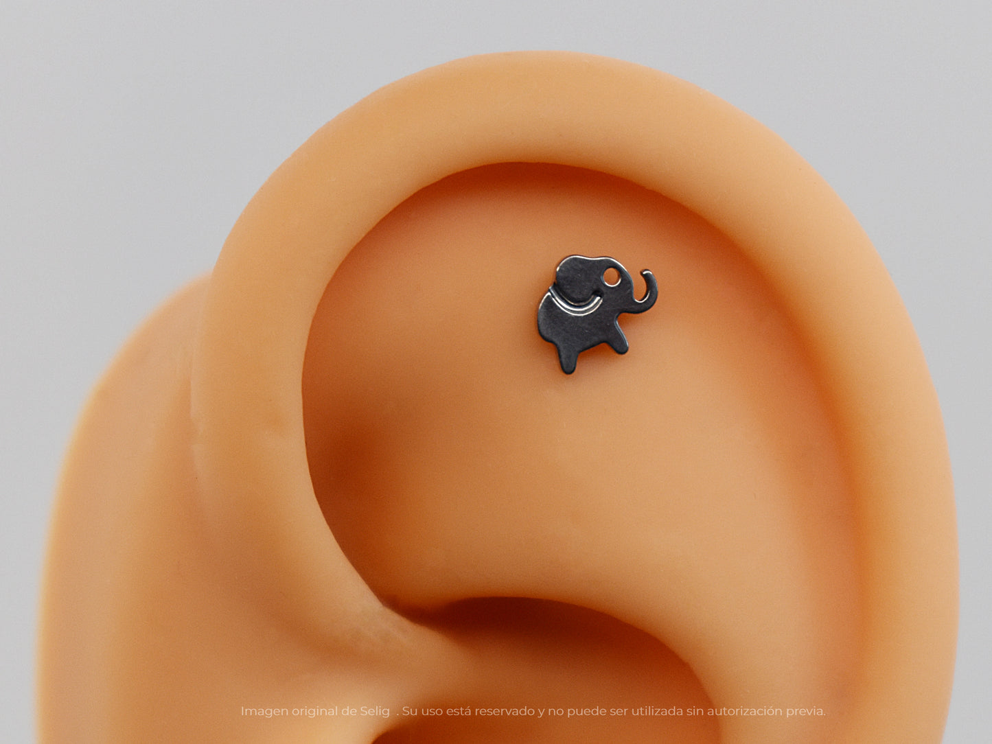 Piercing Elephant - Ear