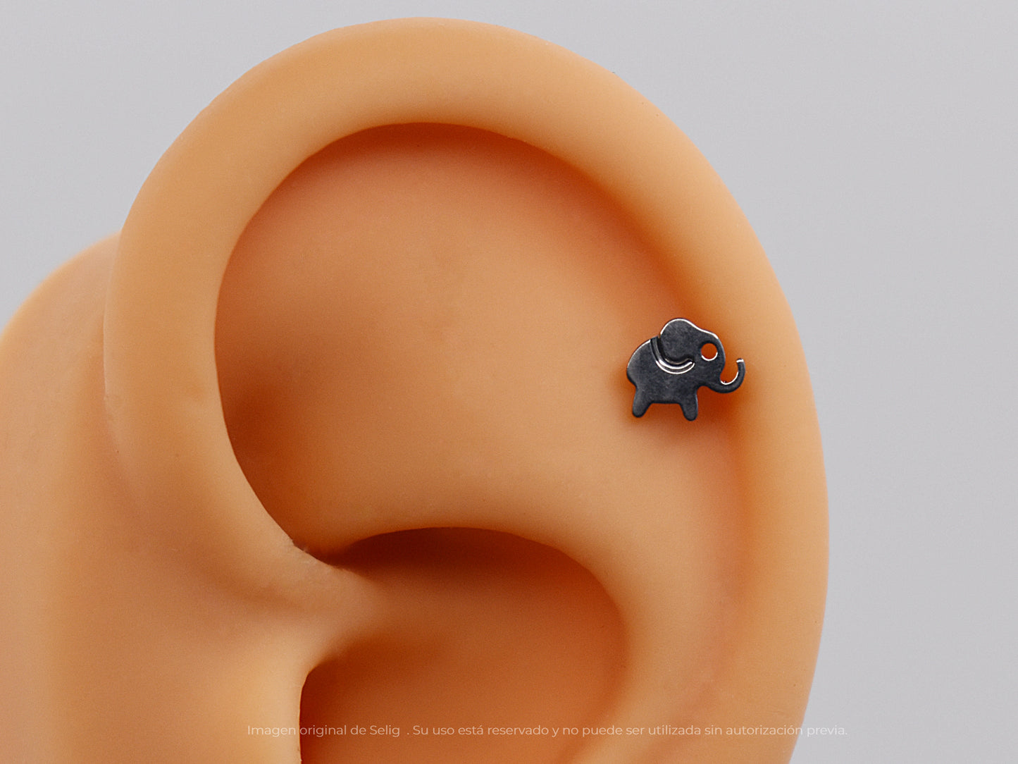 Piercing Elephant - Ear