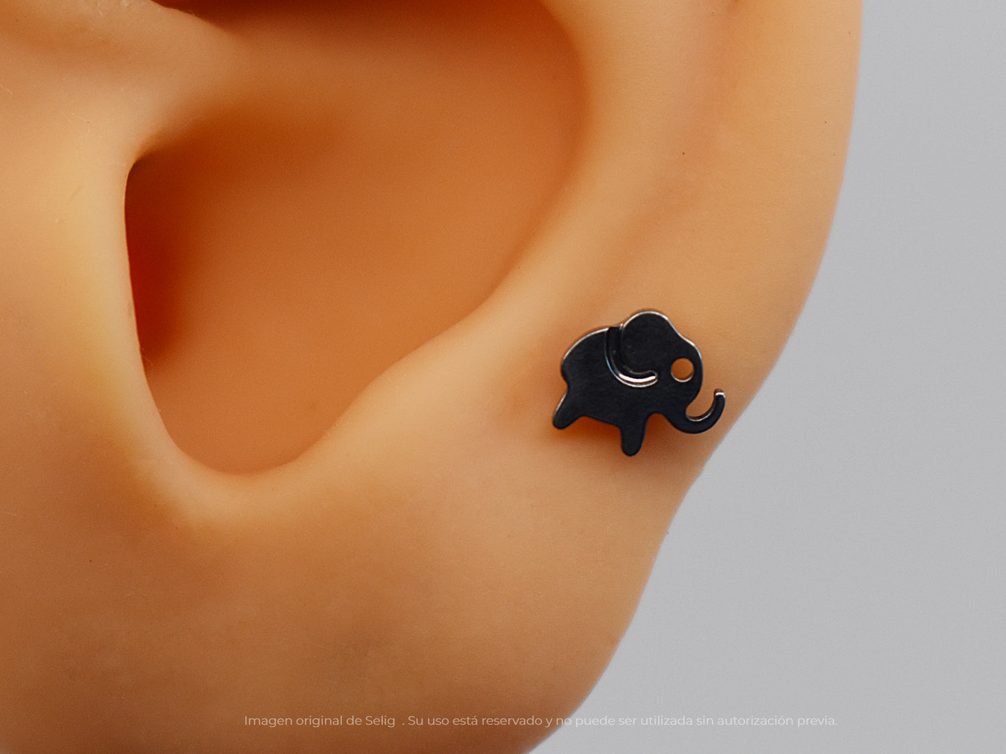 Piercing Elephant - Ear