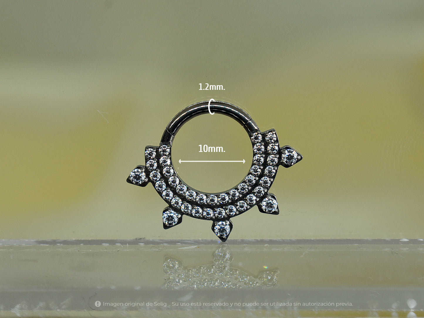 Piercing Five - Septum/Daith