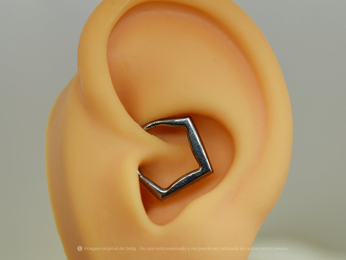 Piercing Gle Basic - Septum/Daith