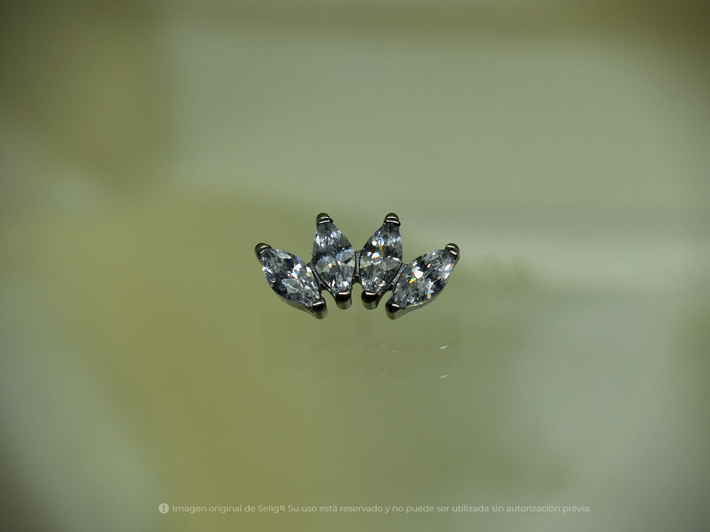 Piercing Meik - Ear