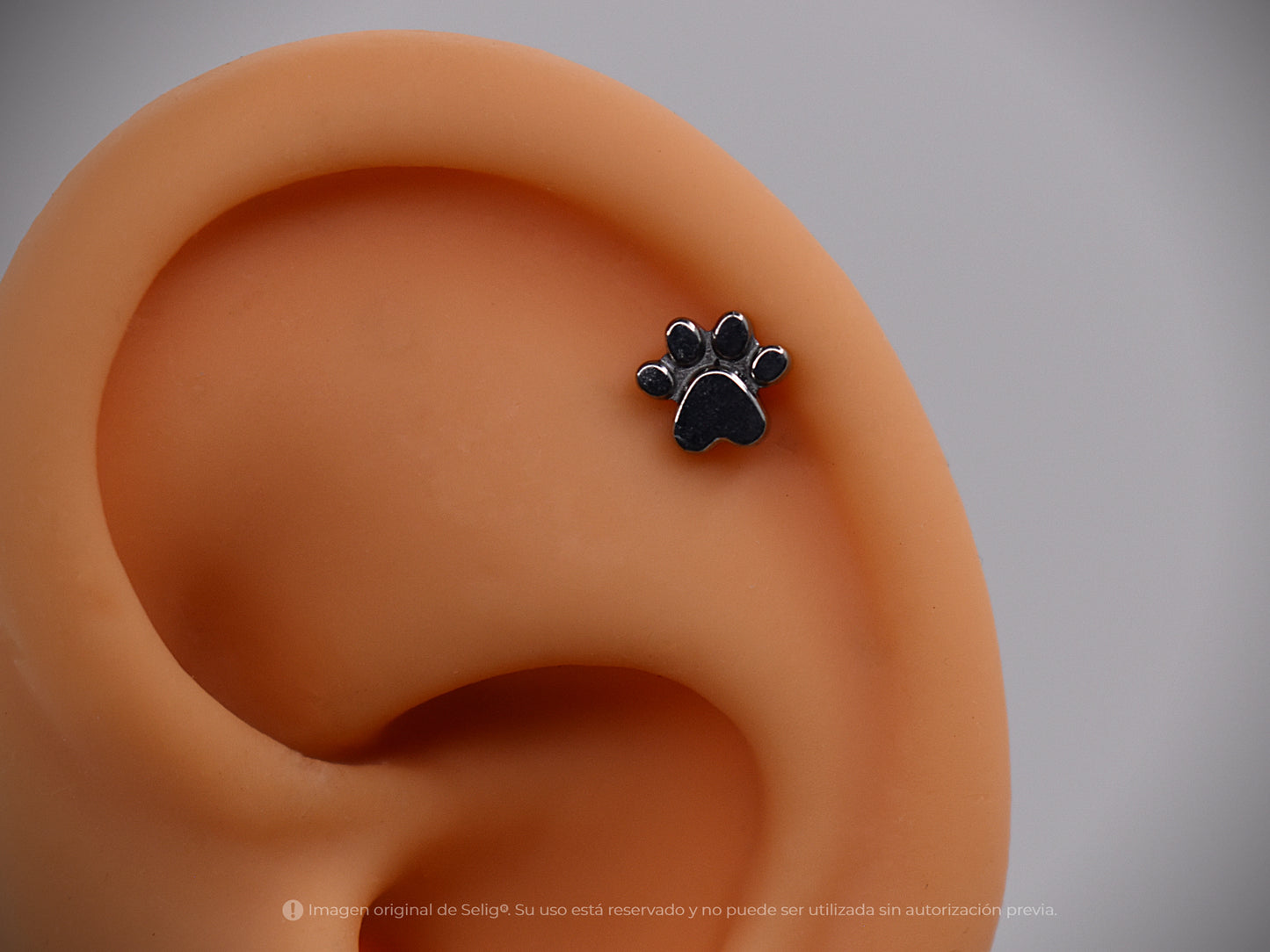 Piercing Patita - Ear