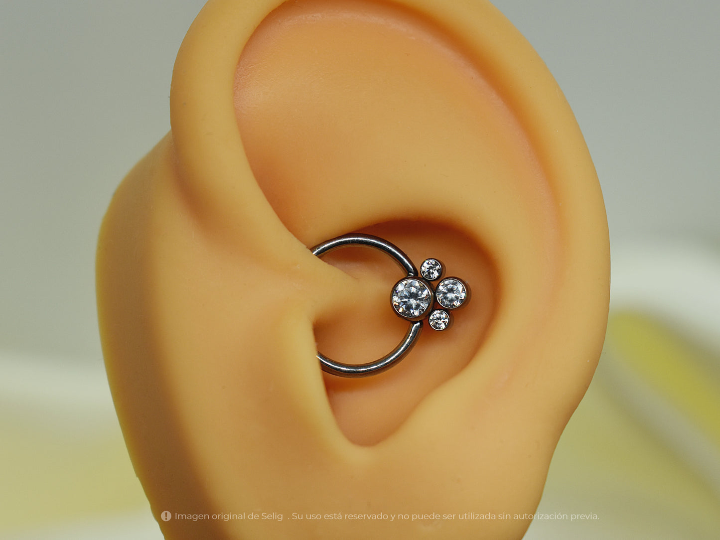 Piercing Paws II - Septum/Daith