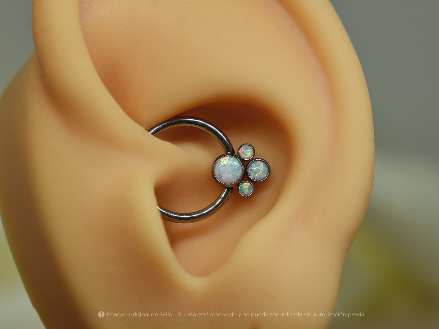Piercing Paws I - Septum/Daith