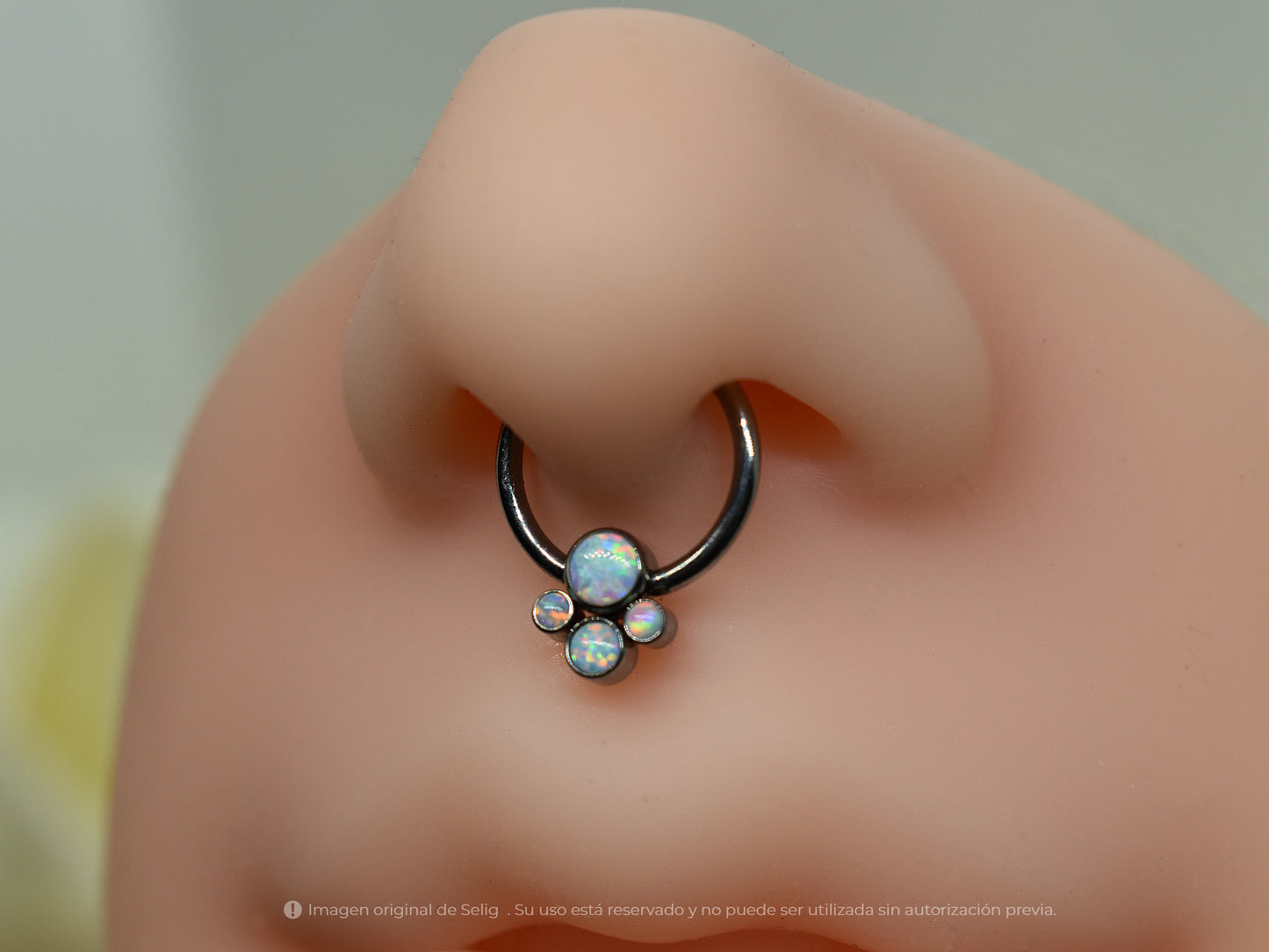 Piercing Paws I - Septum/Daith