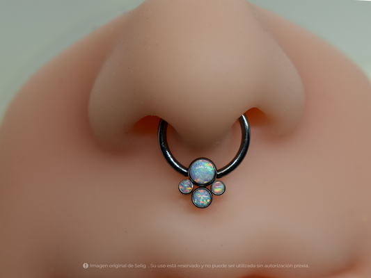 Piercing Paws I - Septum/Daith
