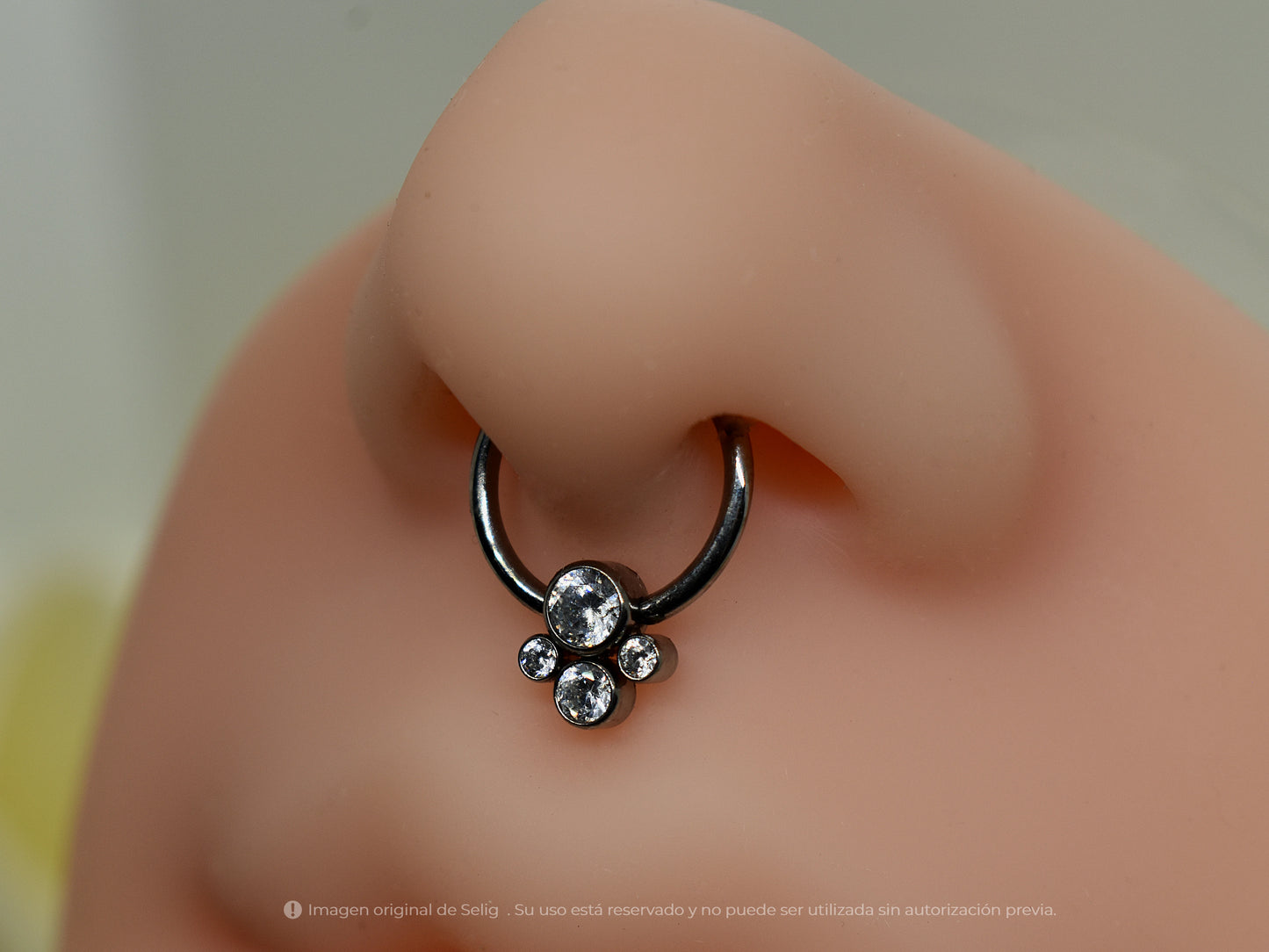 Piercing Paws II - Septum/Daith