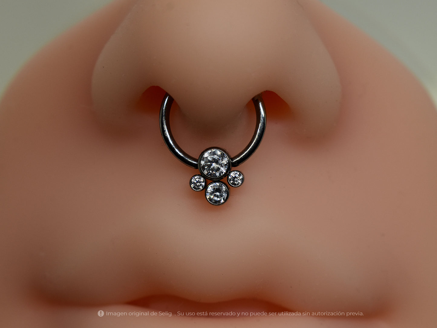 Piercing Paws II - Septum/Daith