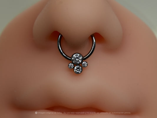 Piercing Paws II - Septum/Daith