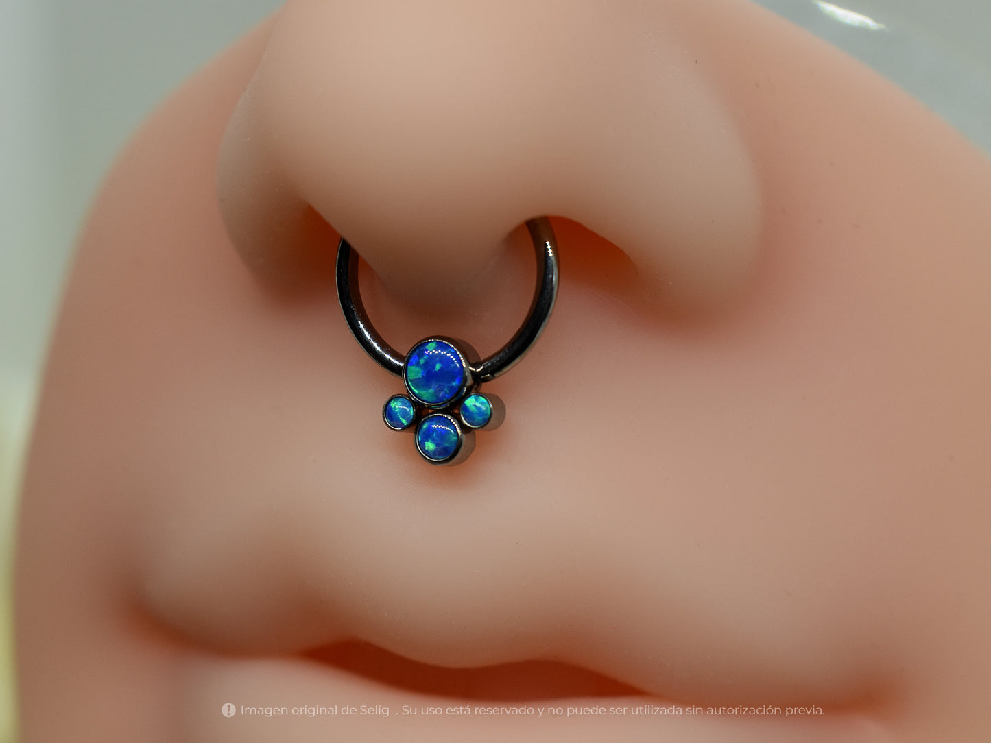 Piercing Paws III - Septum/Daith