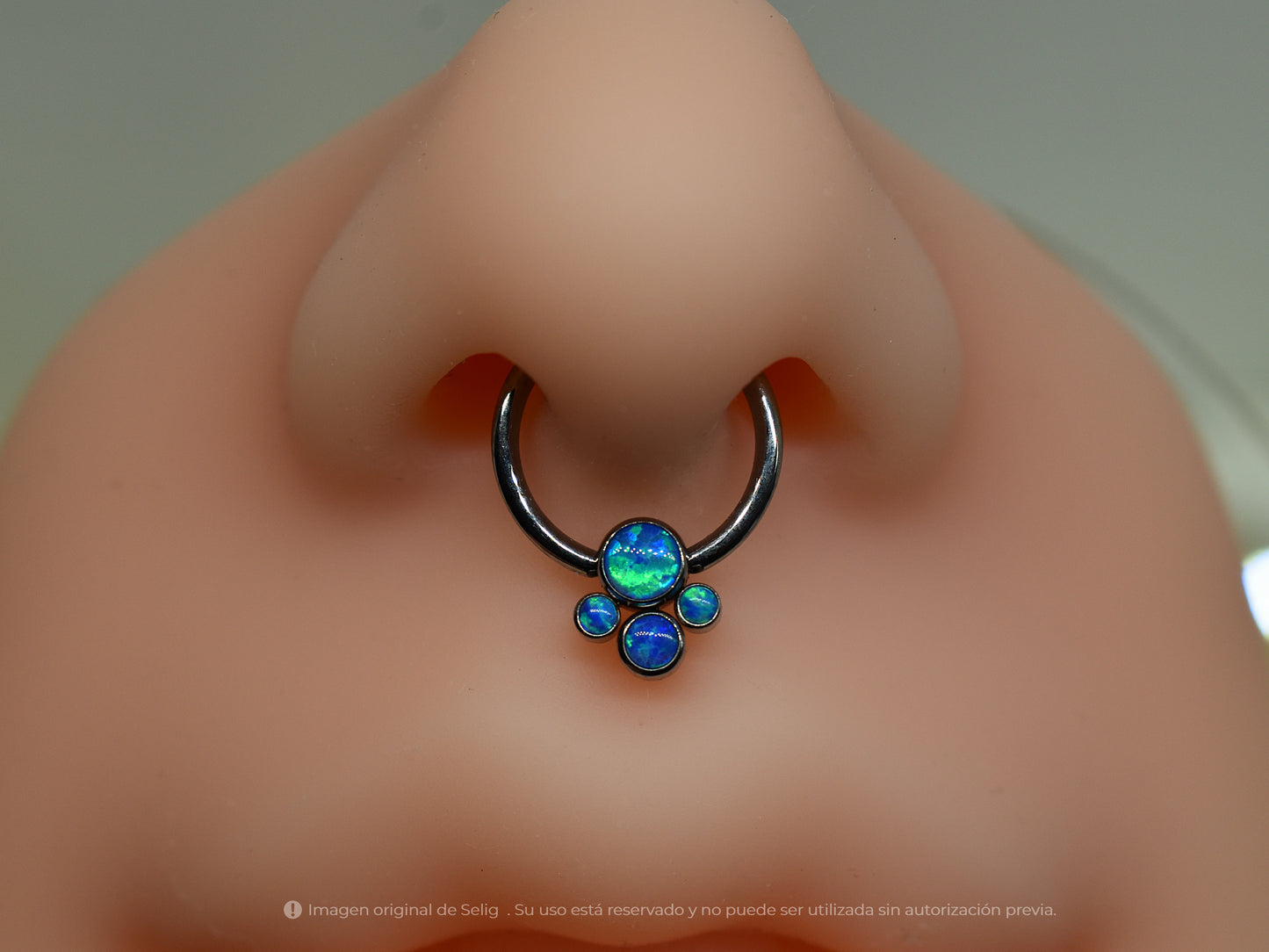 Piercing Paws III - Septum/Daith
