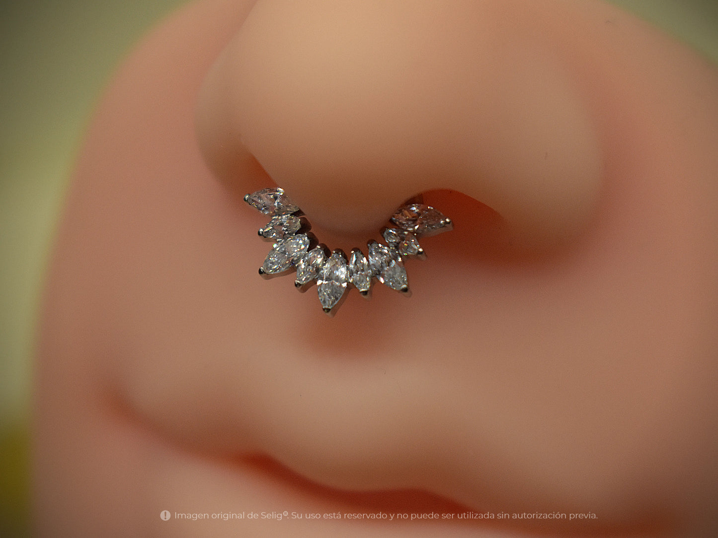 Piercing Spears - Septum/Daith