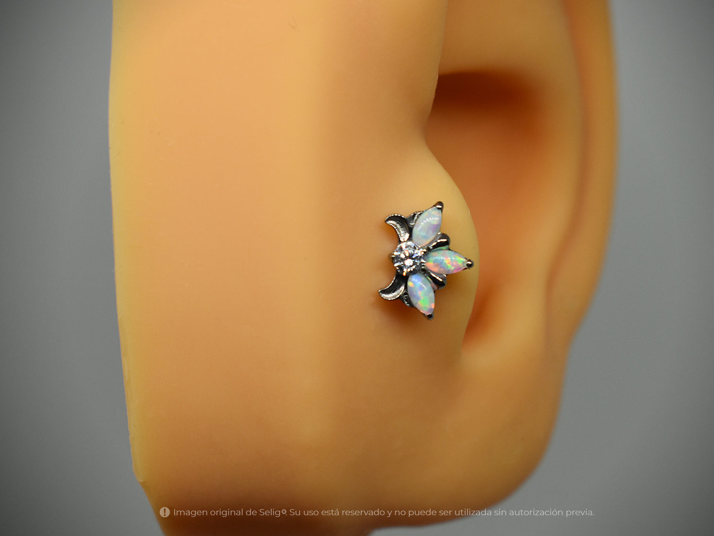 Piercing Trebel -  Ear