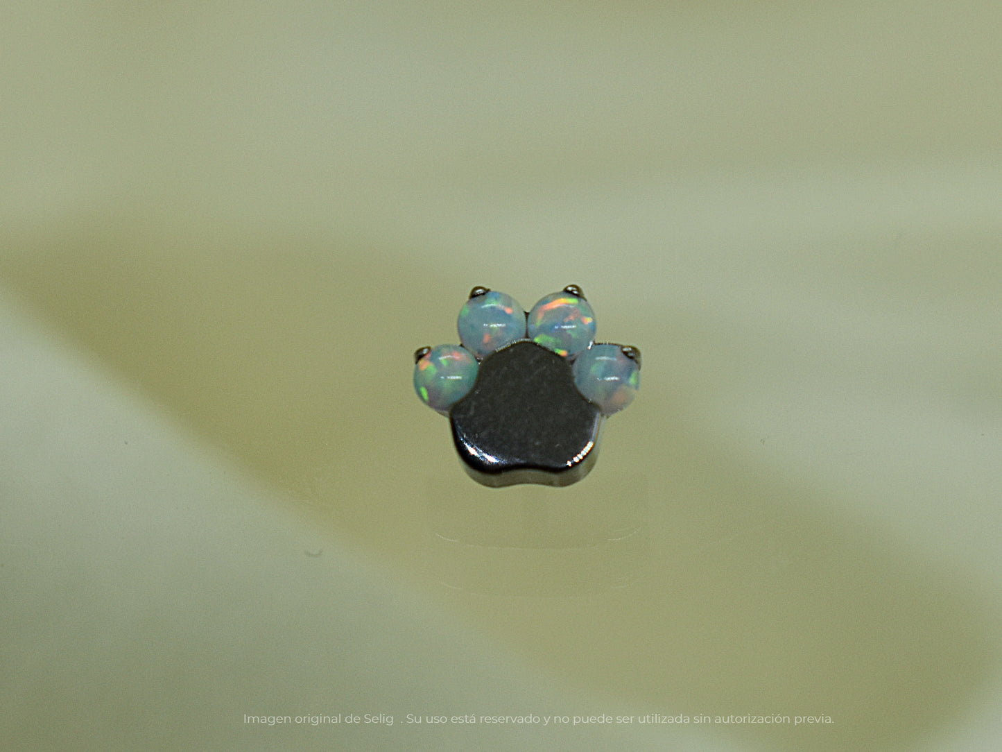 Piercing Cat's Paw - Ear