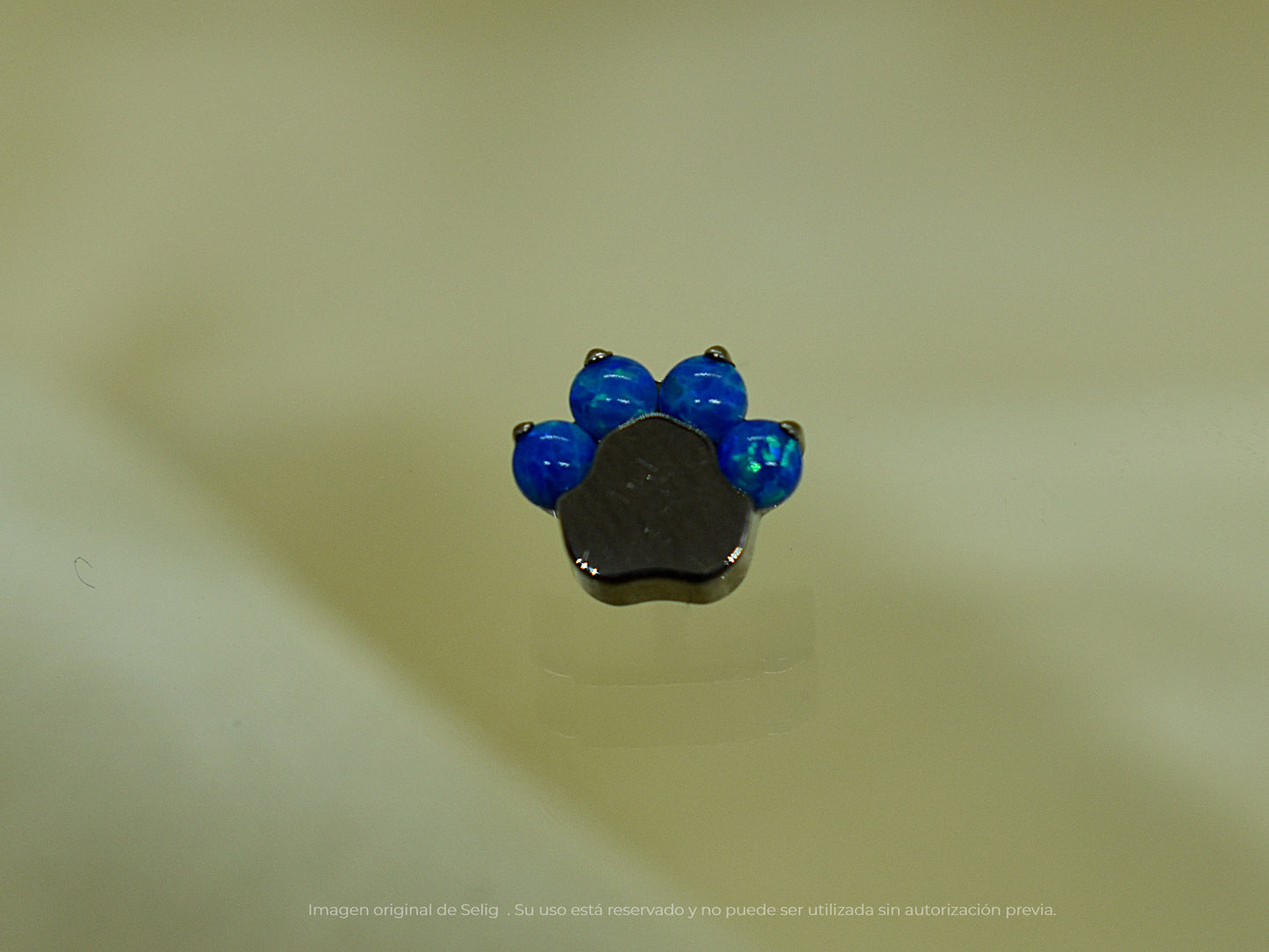 Piercing Cat's Paw - Ear