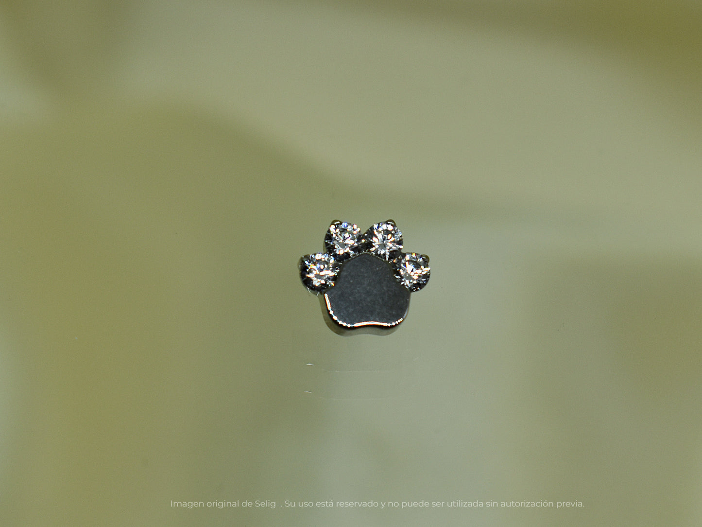 Piercing Cat's Paw - Ear