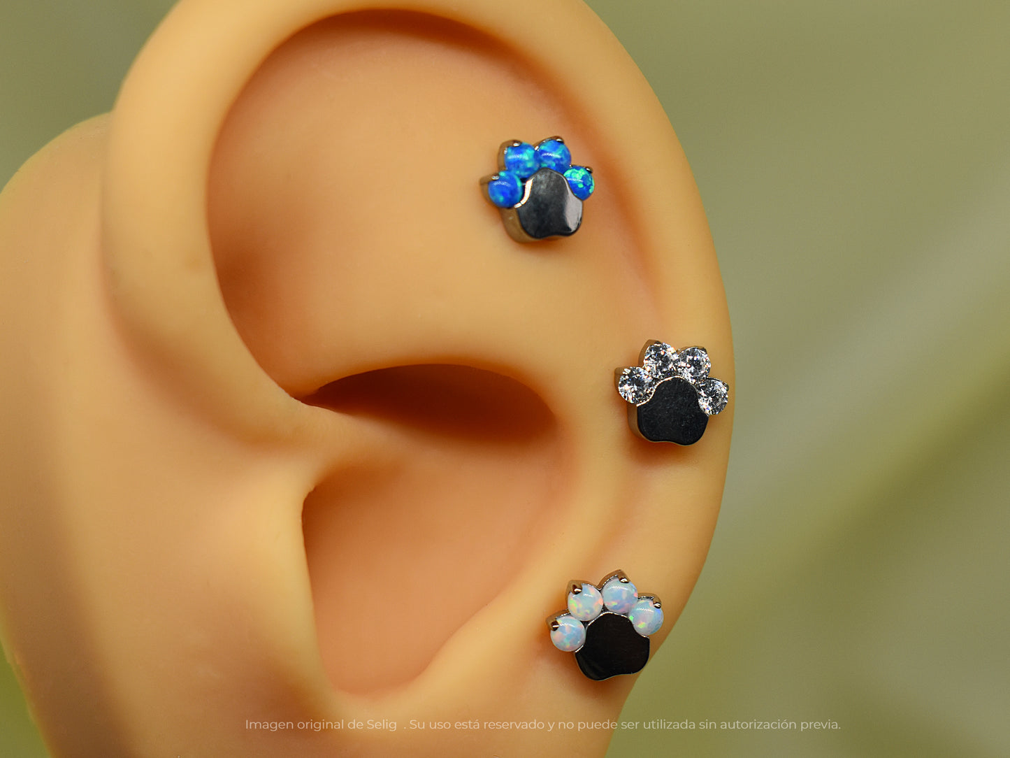 Piercing Cat's Paw - Ear