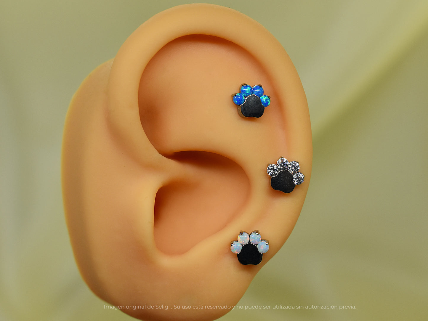 Piercing Cat's Paw - Ear