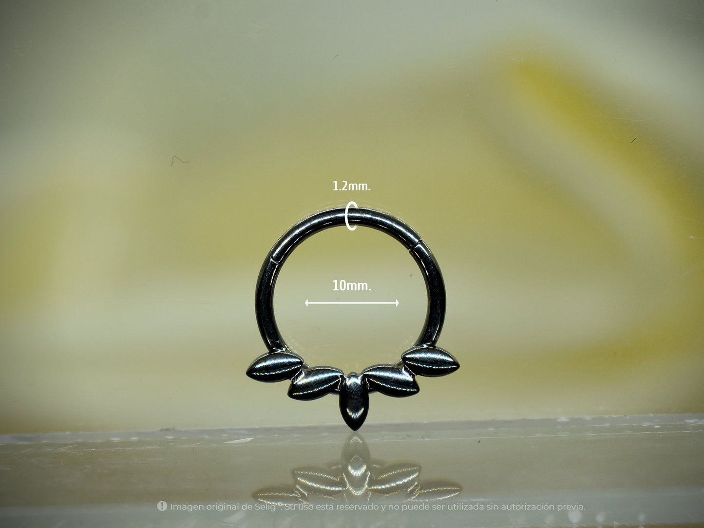 Piercing Trig - Septum/Daith