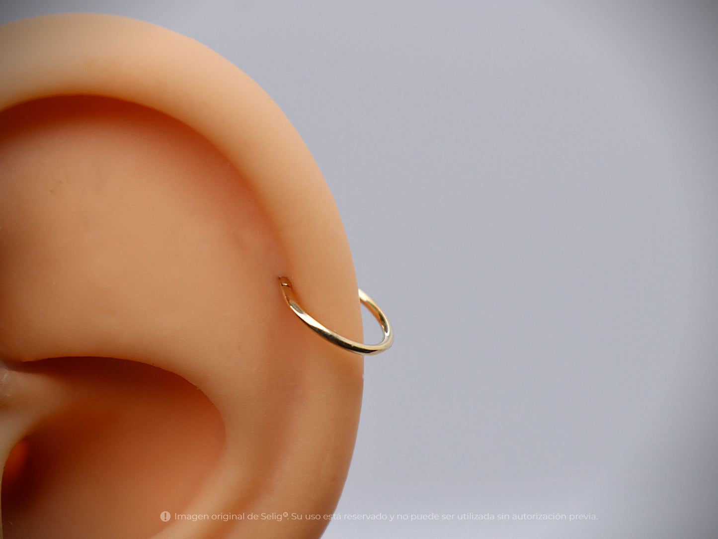 Argolla Básica - Oro 18k