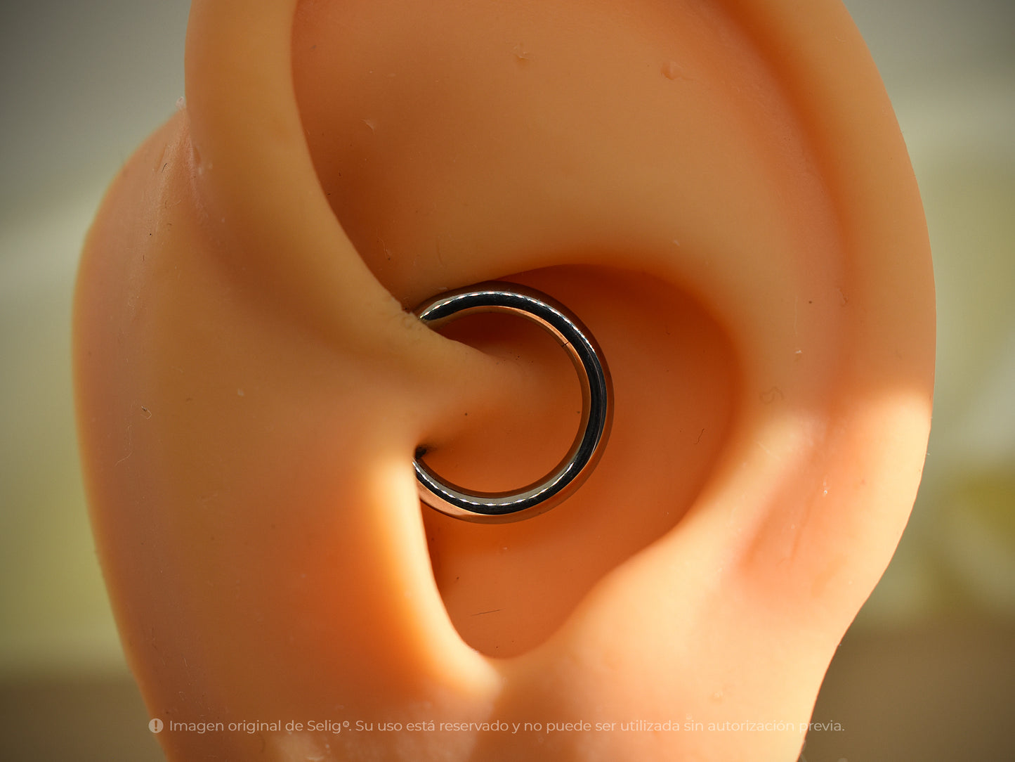 Piercing basico clicker. Septum / Daith