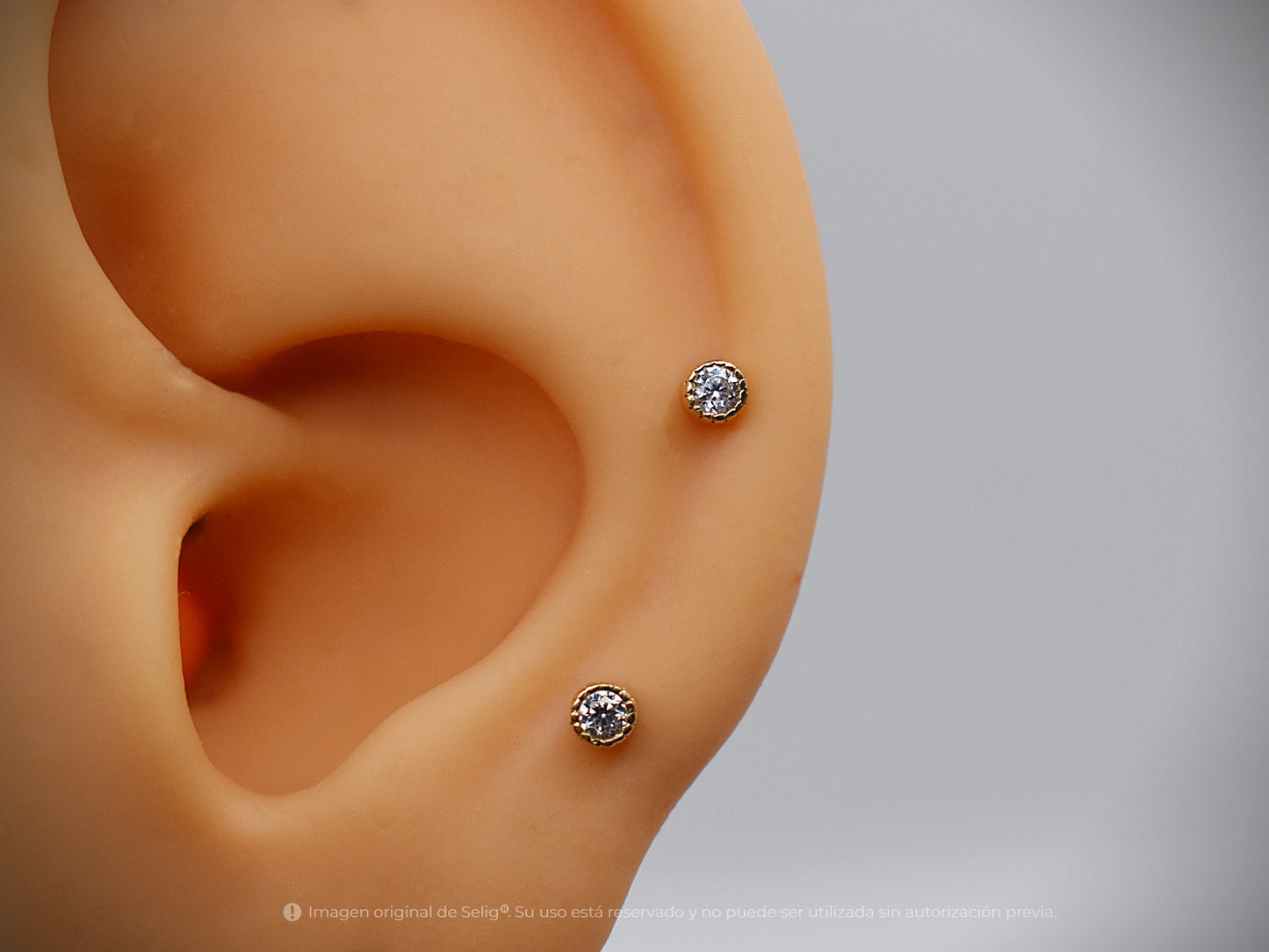 Circone de Oro - 18K