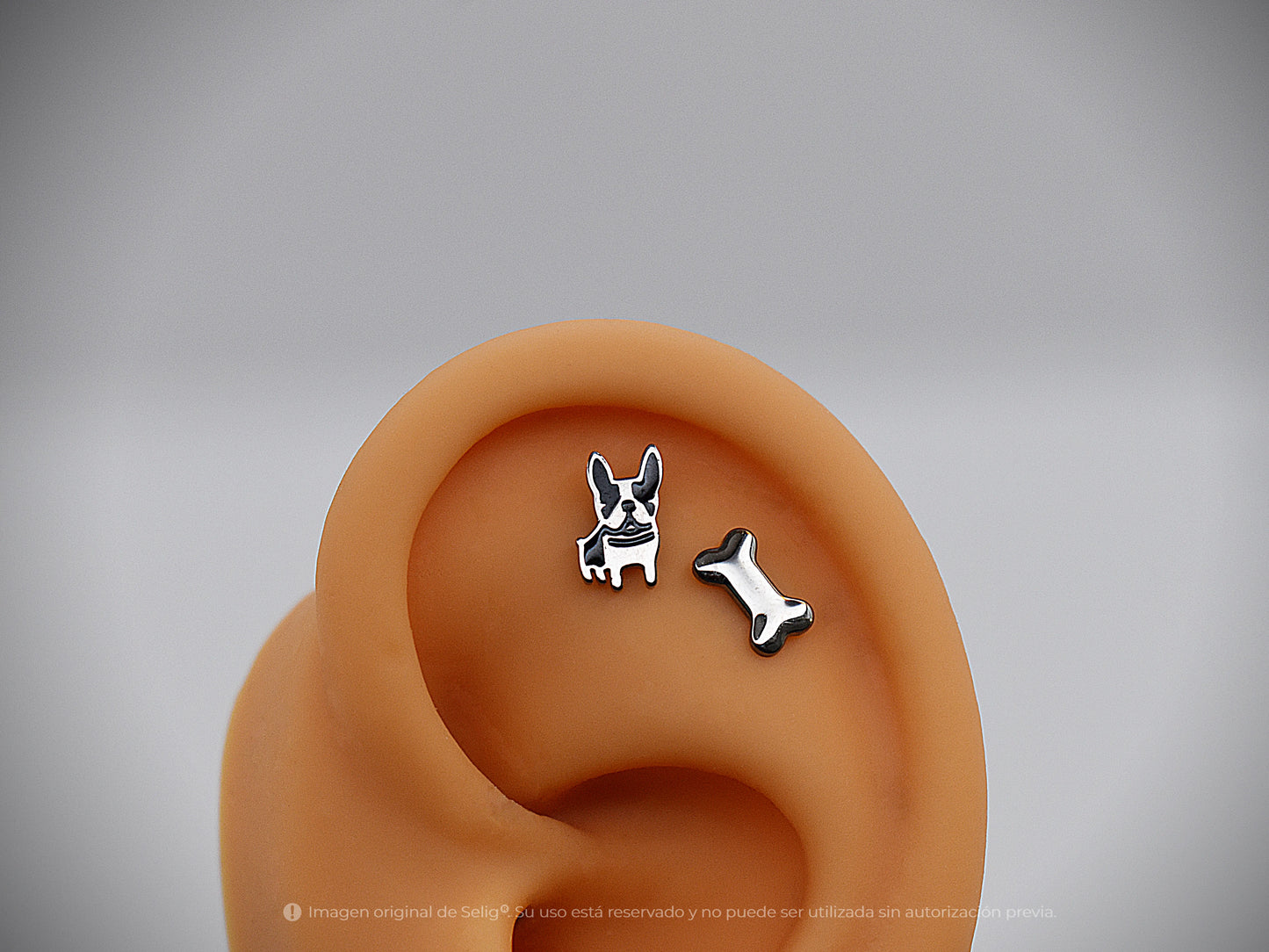 Piercing dogs - Ear