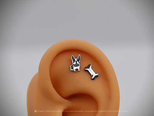 Piercing dogs - Ear