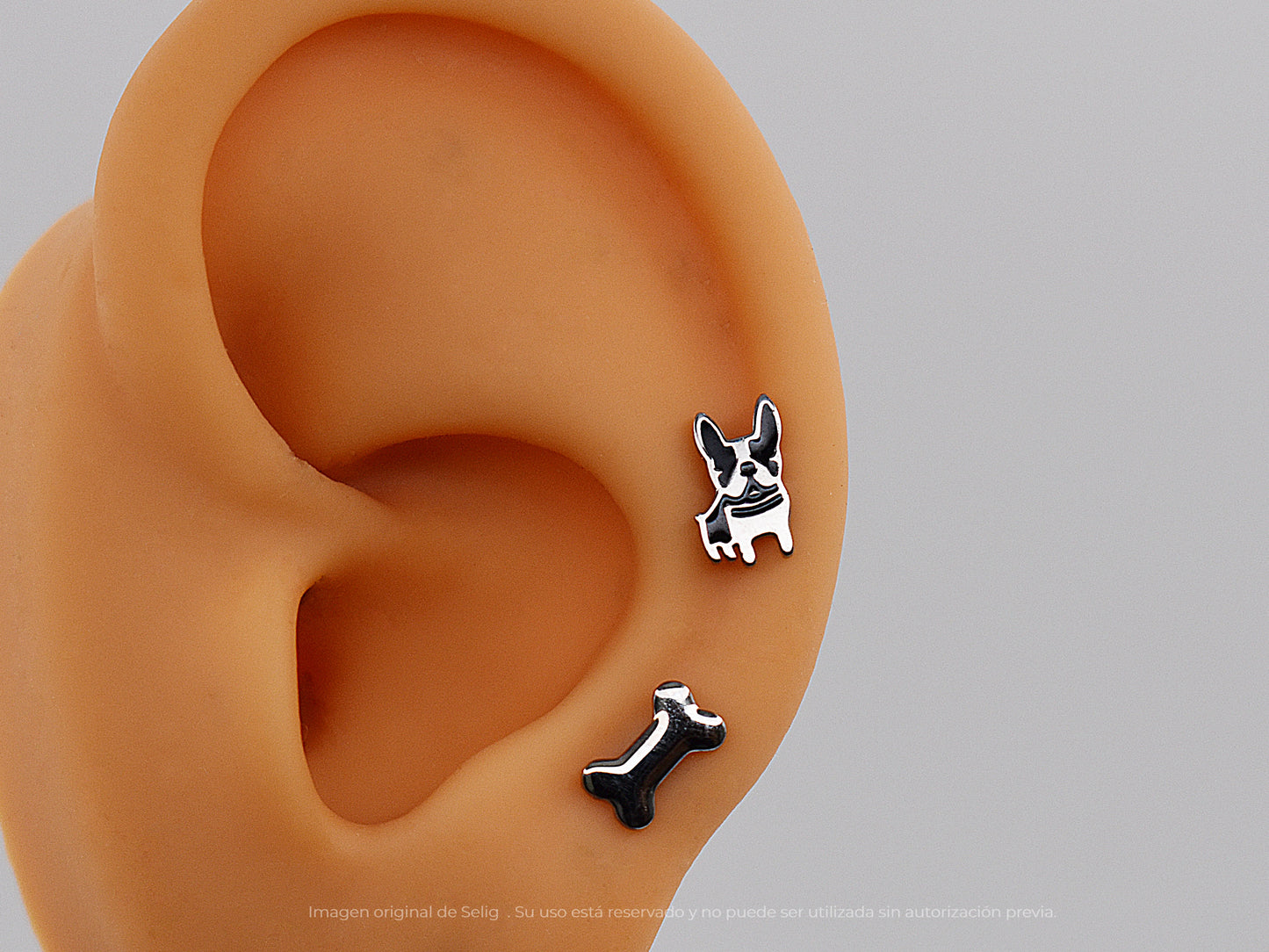 Piercing dogs - Ear