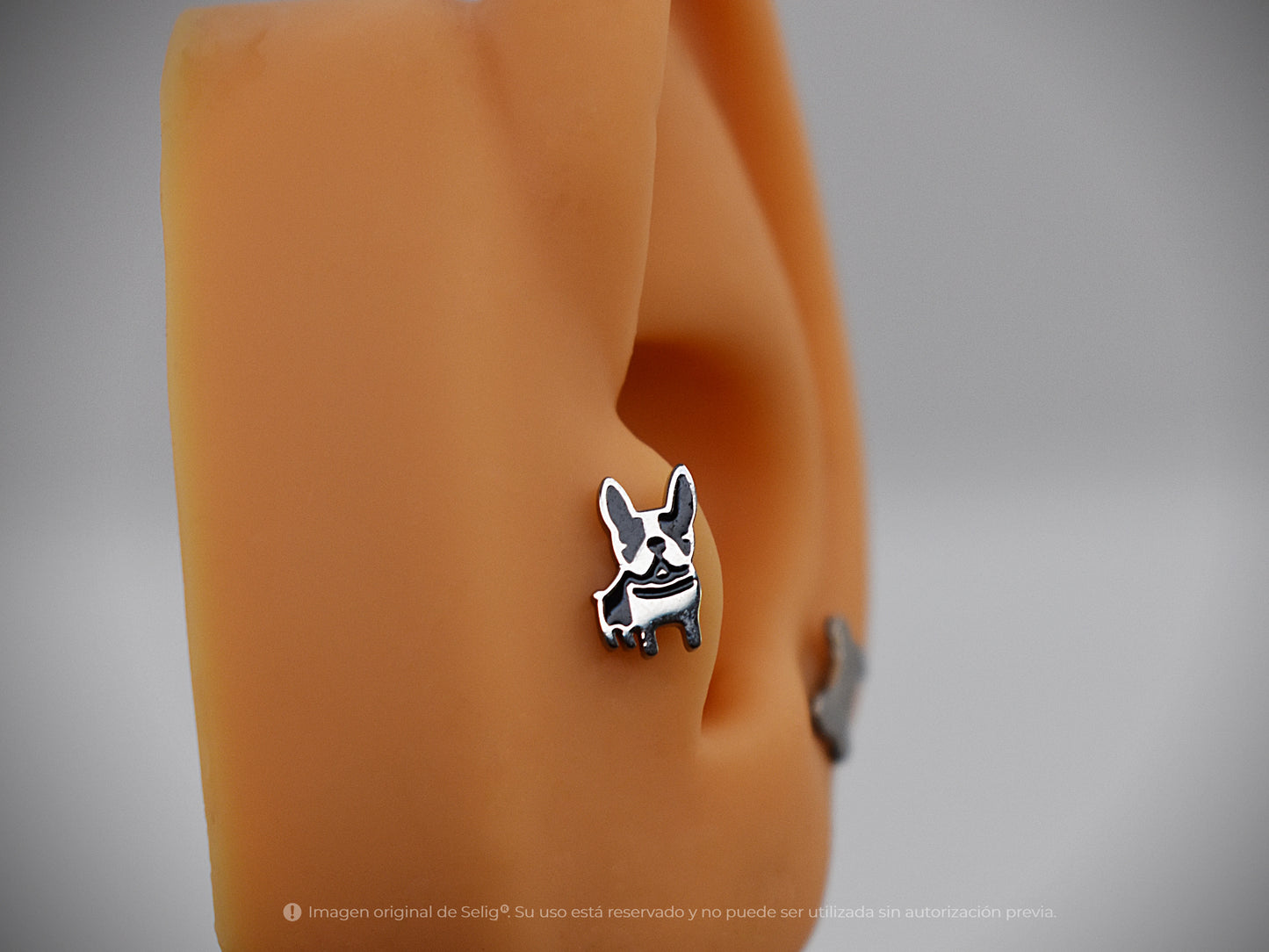 Piercing dogs - Ear