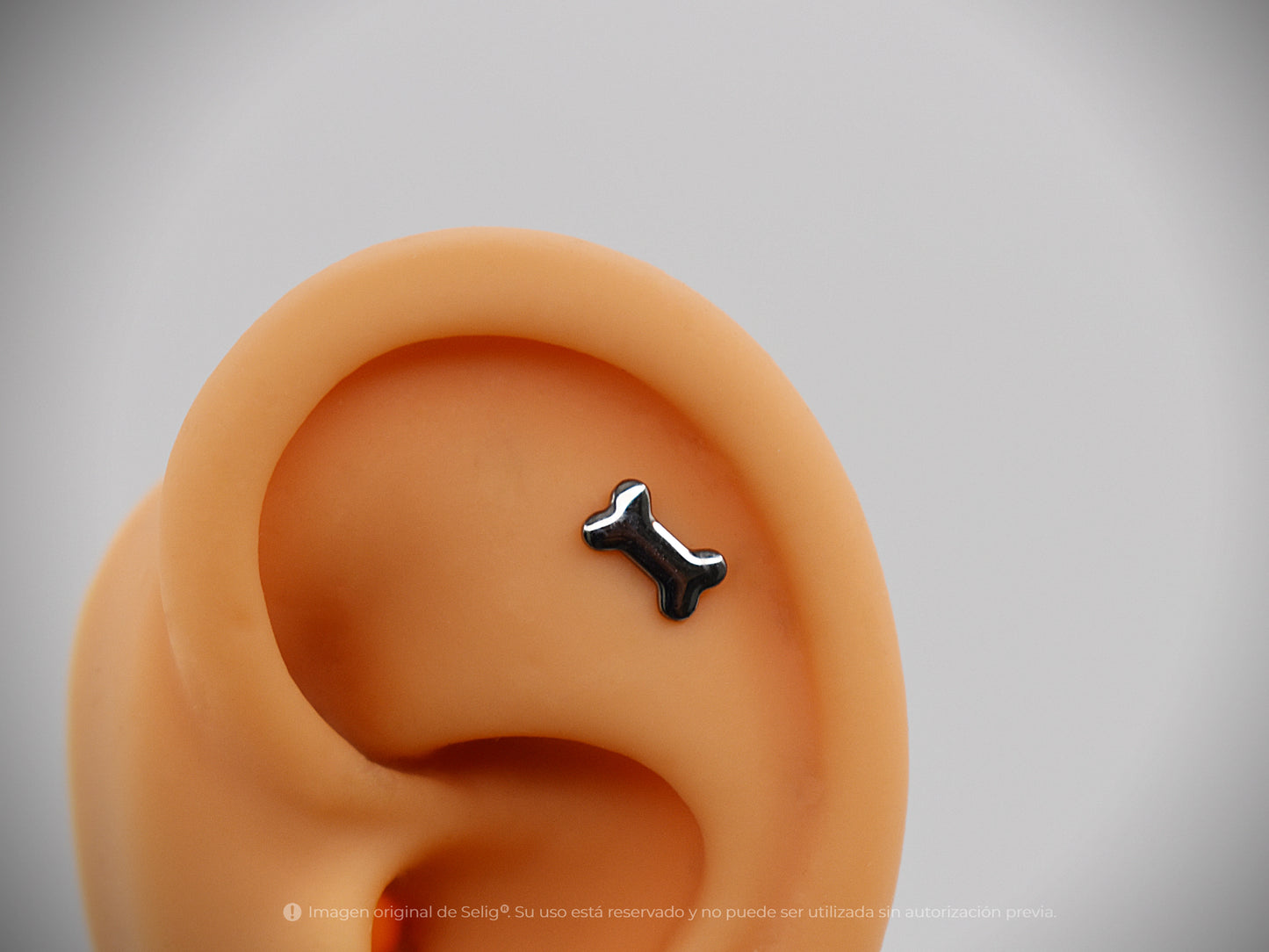 Piercing dogs - Ear